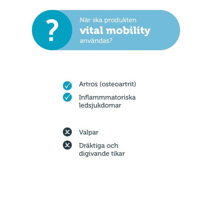 mera vital dog mobility