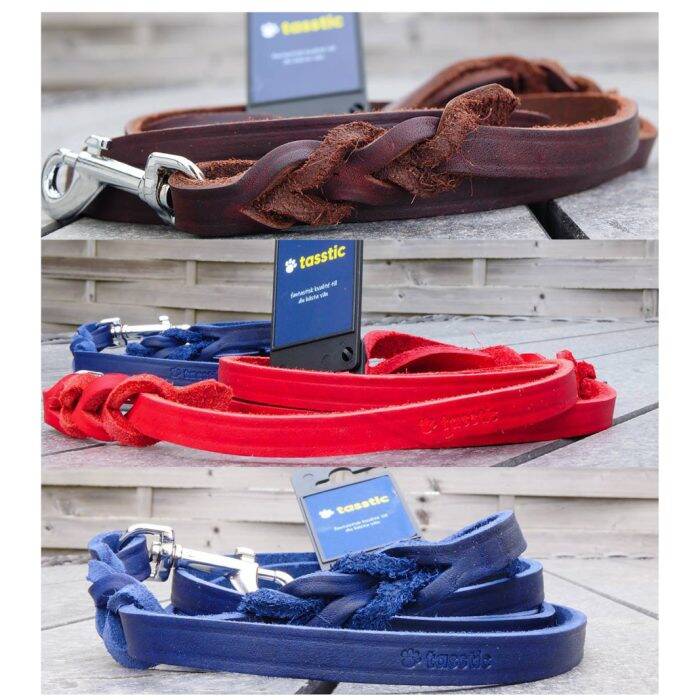 Hundkoppel & hundhalsband