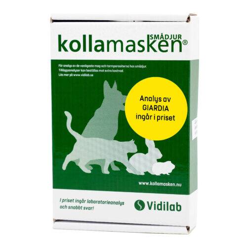 kollamasken giardia, mask hund, mask hund