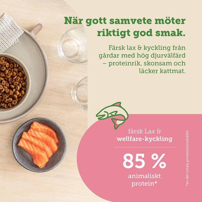 mera cats nature salmon Spannmålsfri katt mat med färsk lax