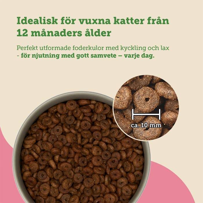 mera cats nature salmon Spannmålsfri katt mat med färsk lax