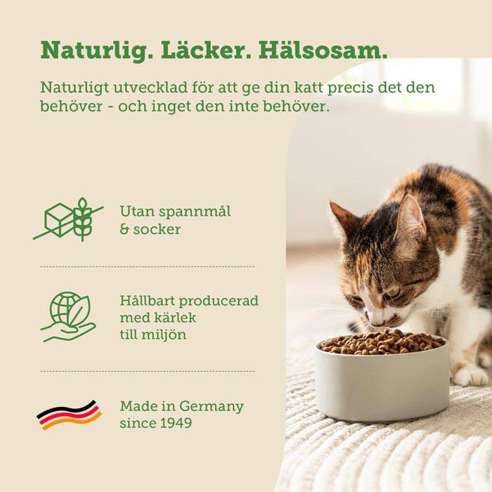 mera cats nature salmon Spannmålsfri katt mat med färsk lax
