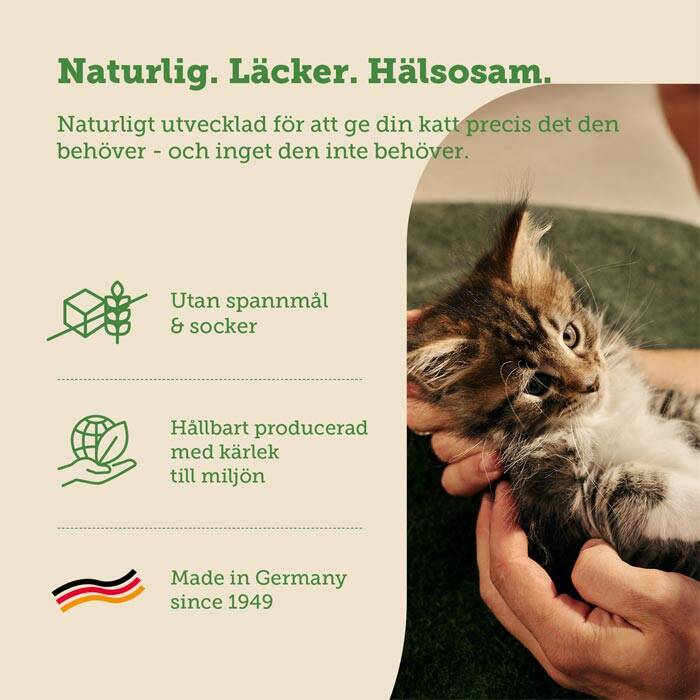 Kattungemat med lax, spannmålsfri kattungemat