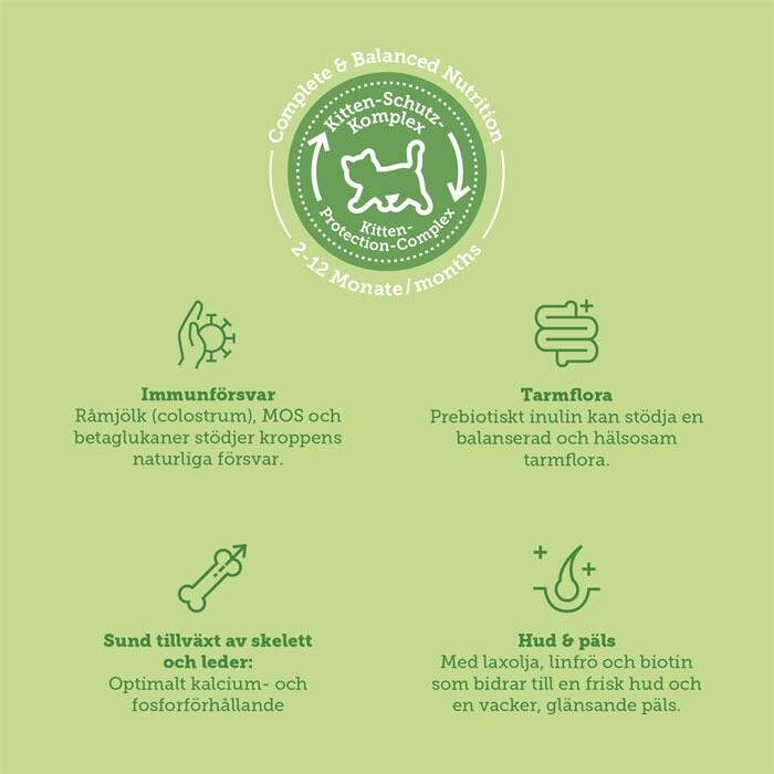 Kattungemat med lax, spannmålsfri kattungemat