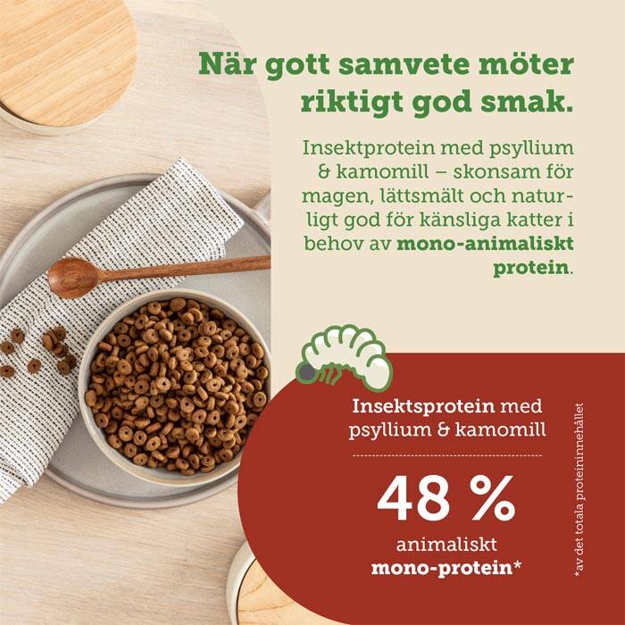 spannmålsfri kattmat med insektprotein