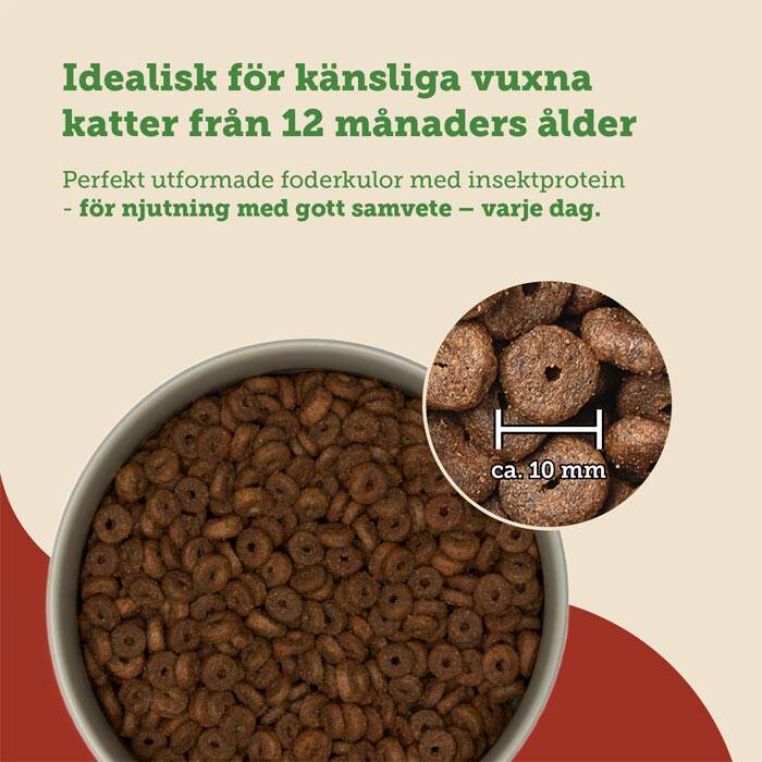 spannmålsfri kattmat med insektprotein