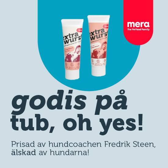 mera godis på tub hund