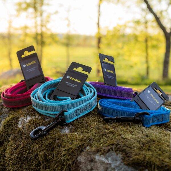 Hundkoppel & hundhalsband