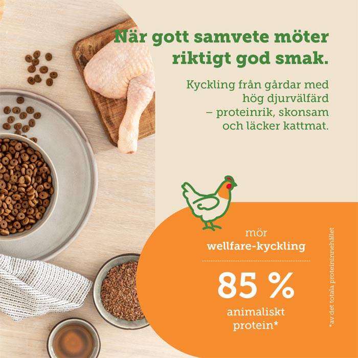 kattmat spannmålsfri med kyckling
