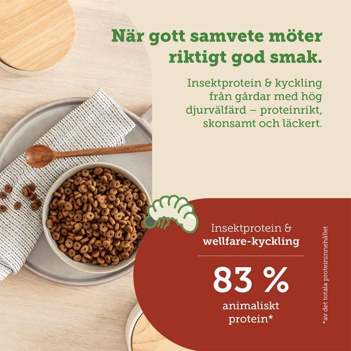 kattmat med insektsprotein från svart soldatfluga