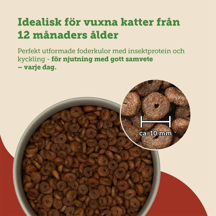 kattmat med insektsprotein från svart soldatfluga
