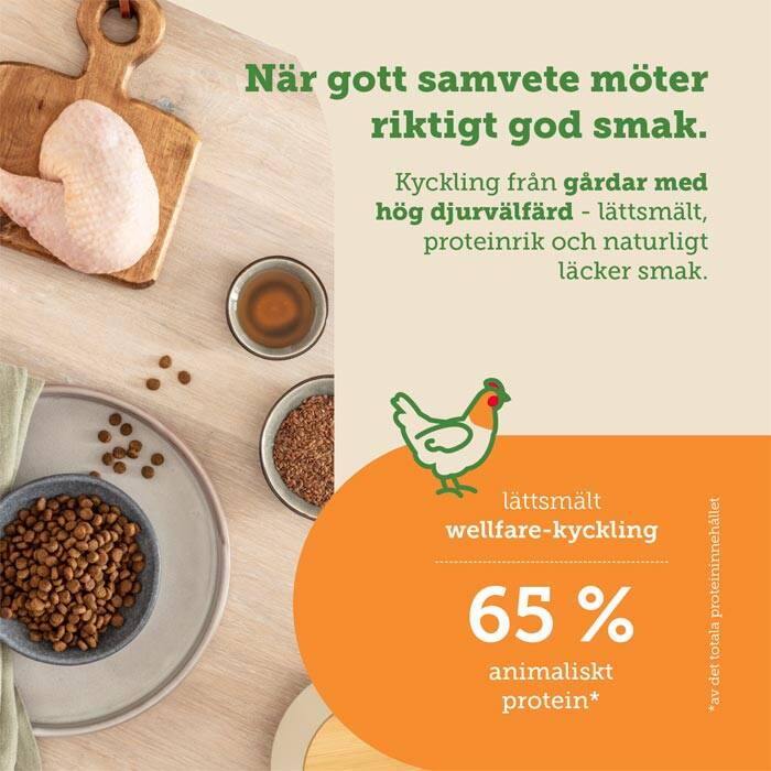 mera cats nature kitten chicken grainfree catfood, spannmålsfri kattungemat