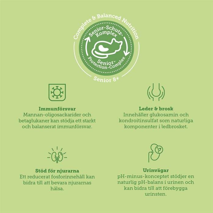 spannmålsfri kattmat för äldre katter, med smak av kyckling