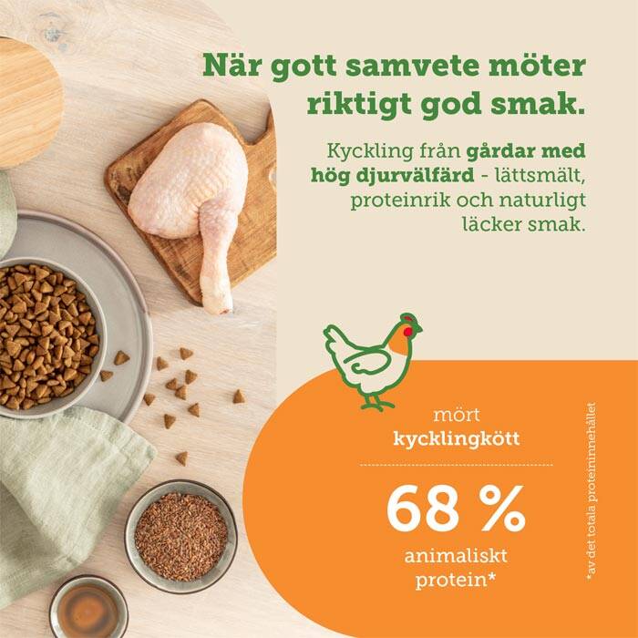 spannmålsfri kattmat för äldre katter, med smak av kyckling