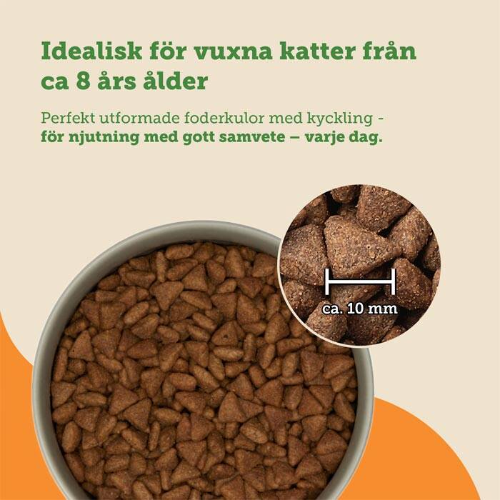 spannmålsfri kattmat för äldre katter, med smak av kyckling